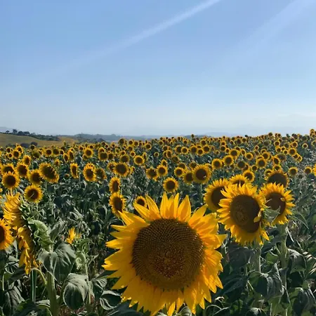 ファームステイ Al Poggio Dei 4 Borghi Monterubbiano